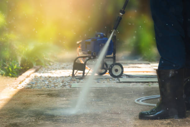 Best Sidewalk and Walkway Cleaning  in Terrell, TX